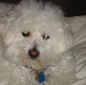 Meet your Posher, Jackie